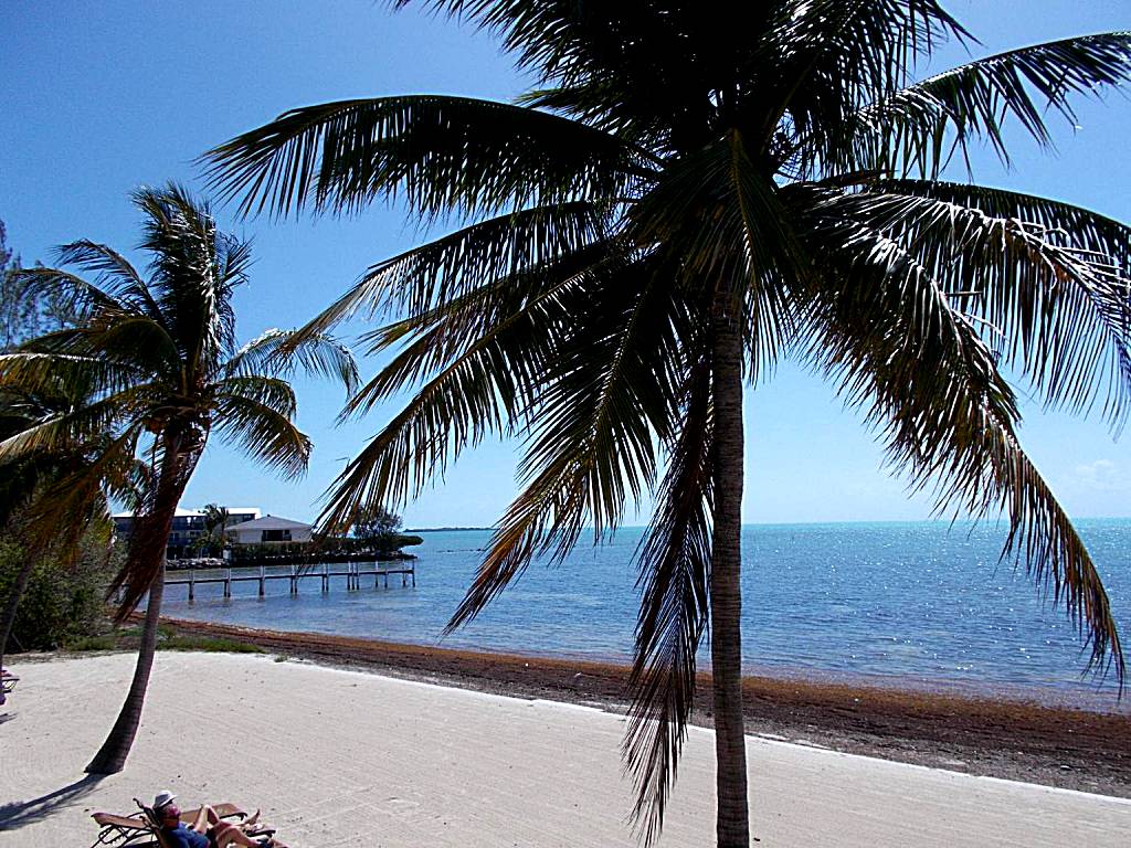 Matecumbe Resort (Islamorada) 